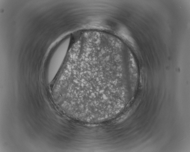 X0000084050388200703161902