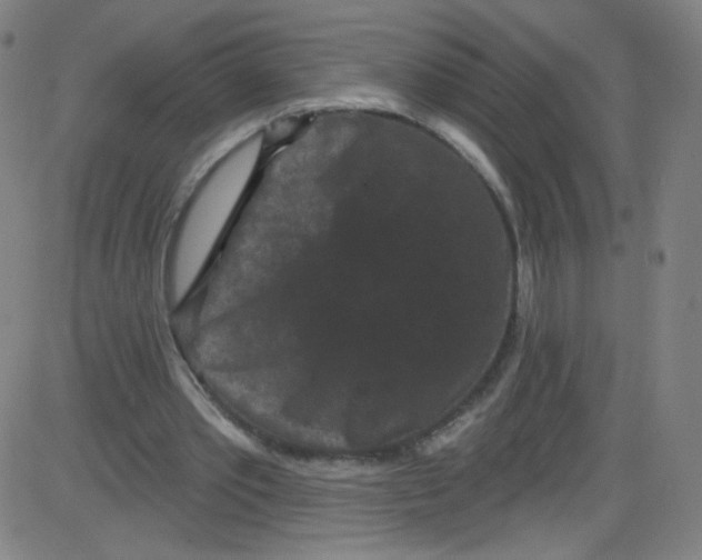 X0000084050389200703161902