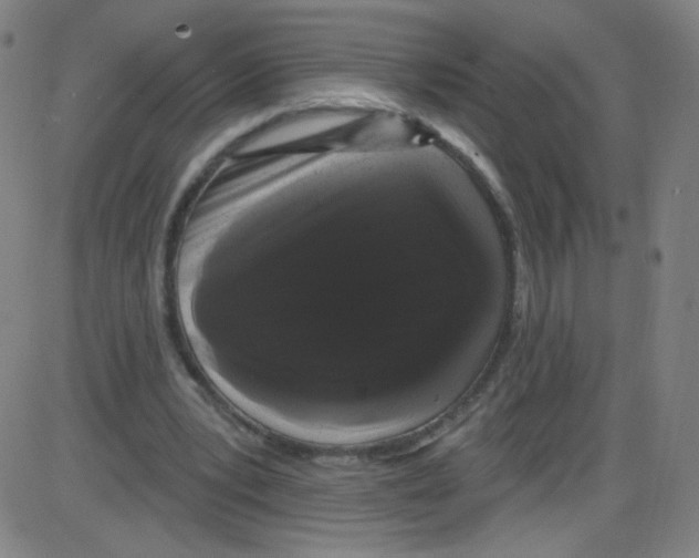 X0000084050391200703161902