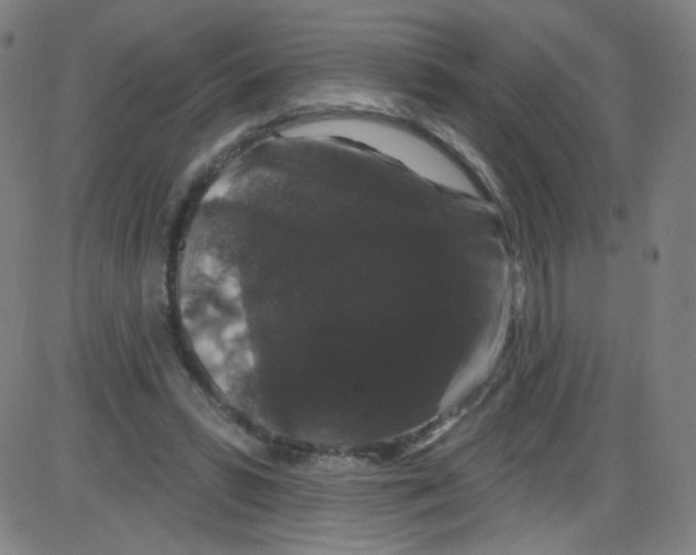 X0000084050399200703161902