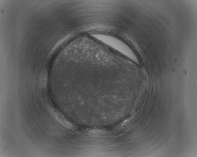 X0000084050400200703161902