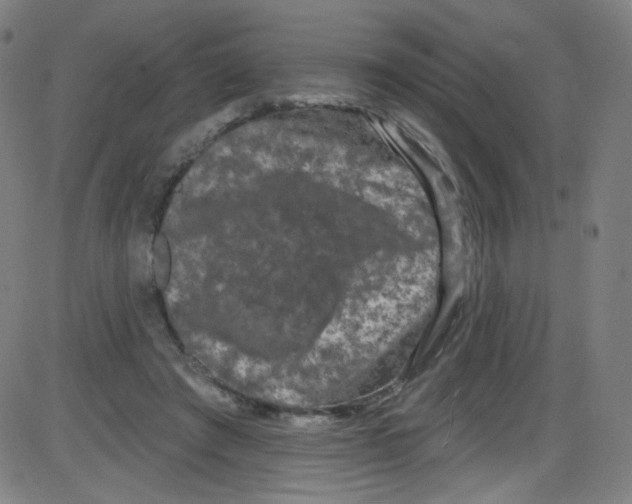 X0000084050401200703161902