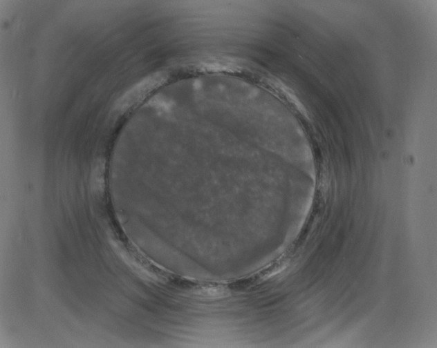 X0000084050402200703161902