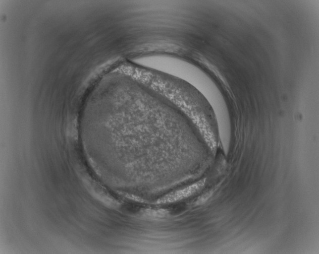 X0000084050403200703161902