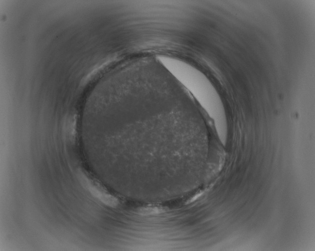 X0000084050404200703161902