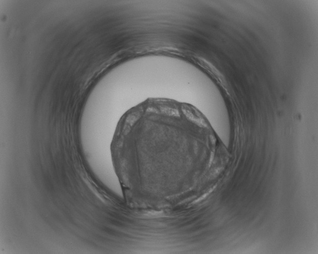 X0000084050405200703161902