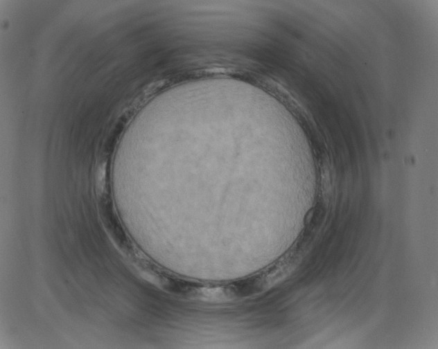 X0000084050406200703161902