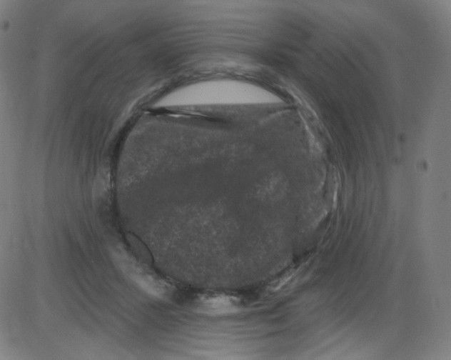 X0000084050407200703161902