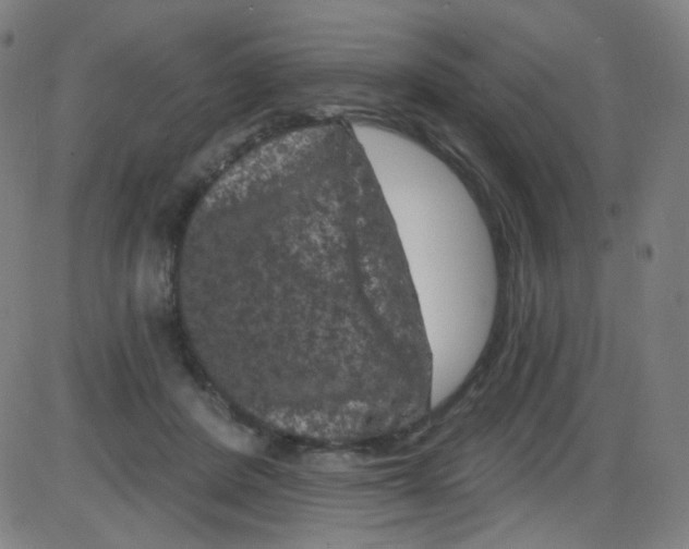 X0000084050408200703161902