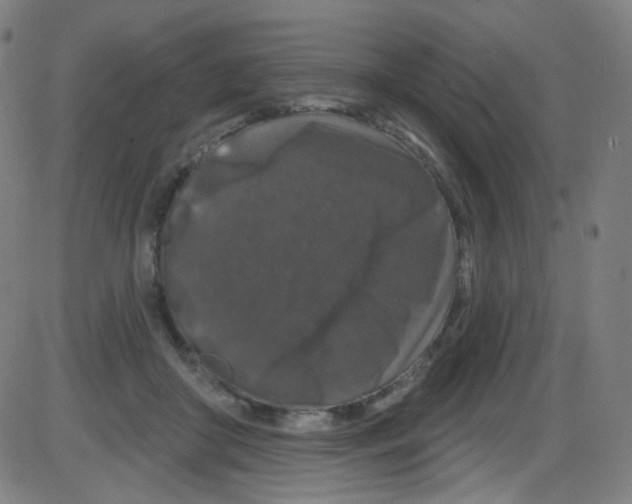 X0000084050410200703161902