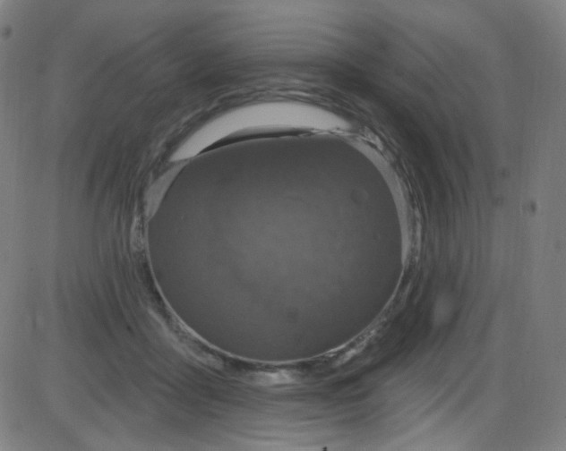 X0000084050411200703161902