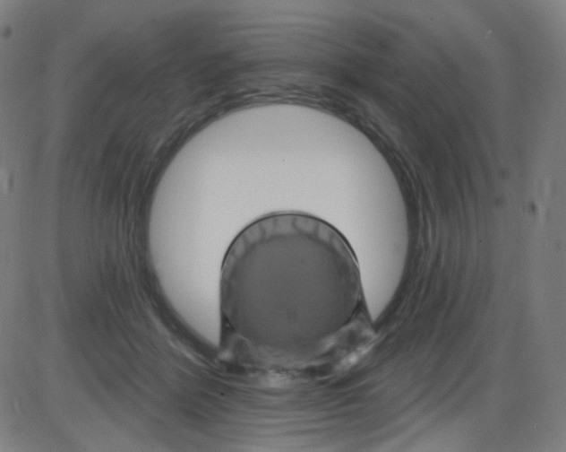 X0000084050412200703161902