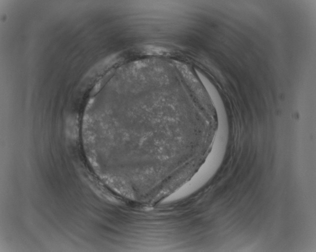 X0000084050413200703161902