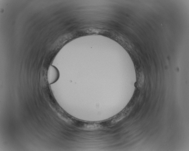 X0000084050414200703161902