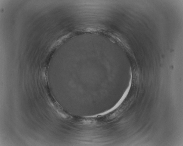 X0000084050415200703161902