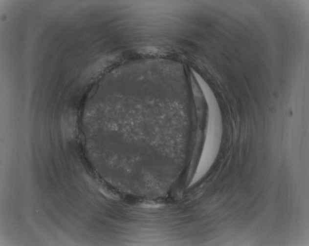 X0000084050416200703161902