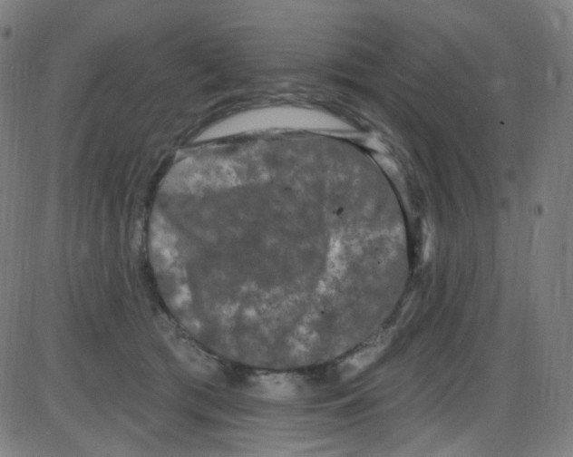 X0000084050417200703161902