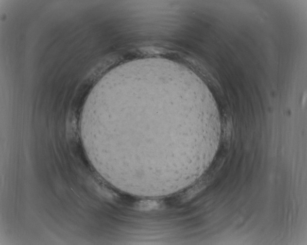 X0000084050418200703161902