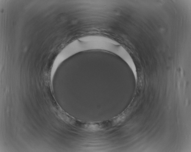 X0000084050419200703161902