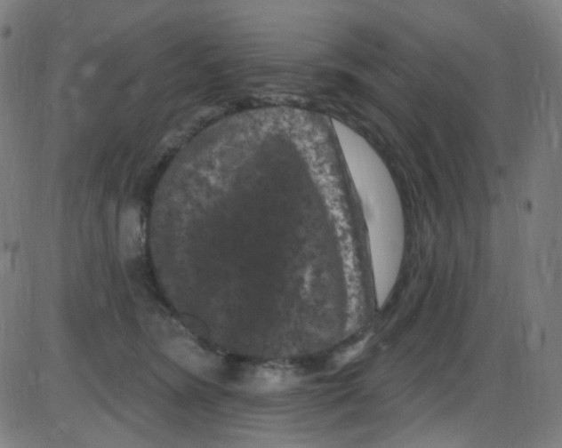 X0000084050420200703161902