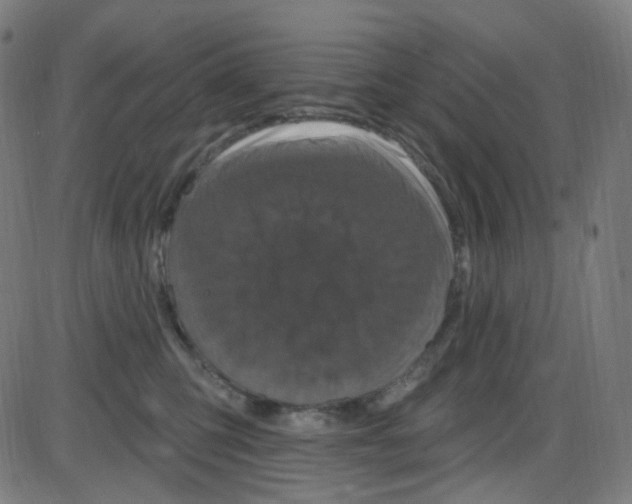 X0000084050423200703161901