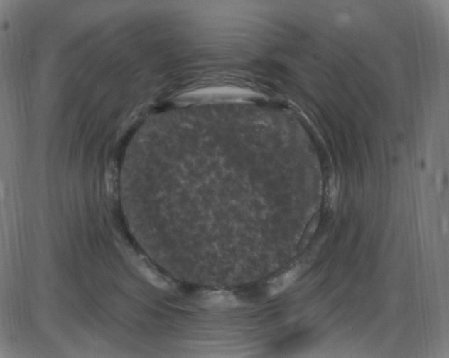 X0000084050424200703161901