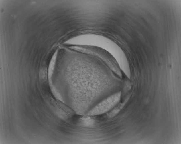 X0000084050425200703161901