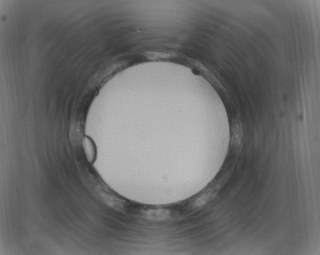 X0000084050426200703161901