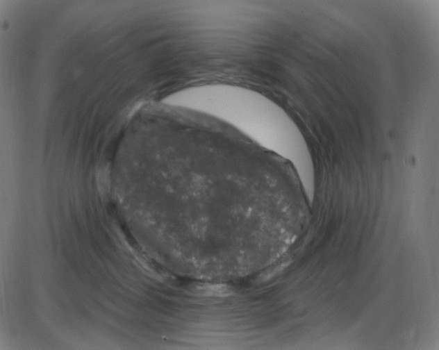 X0000084050428200703161901