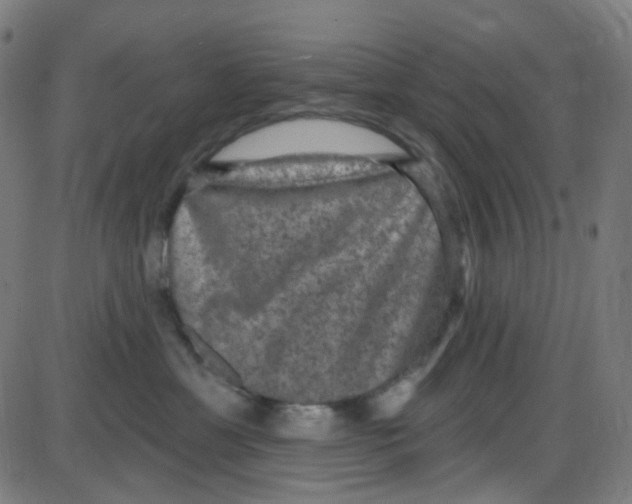 X0000084050429200703161901