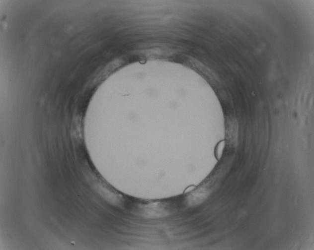 X0000084050430200703161901