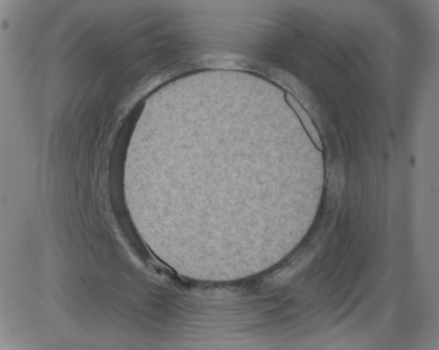 X0000084050433200703161901