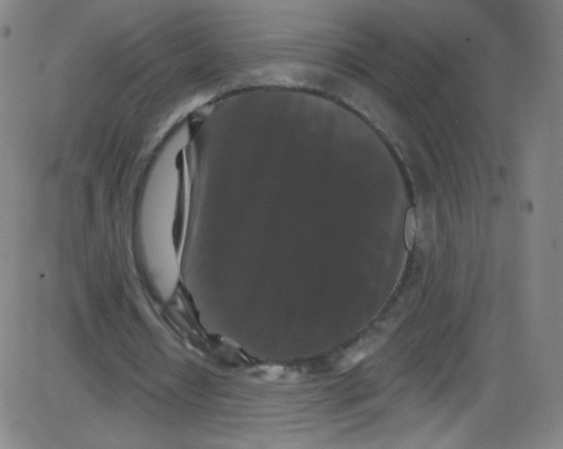 X0000084050434200703161901