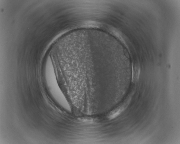 X0000084050435200703161901