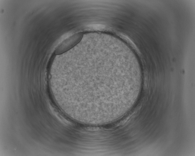 X0000084050439200703161901