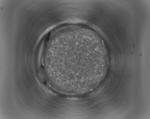 X0000084050440200703161901