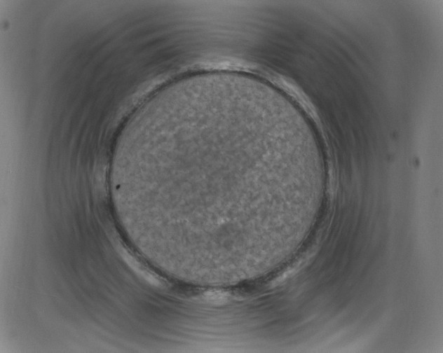 X0000084050441200703161901