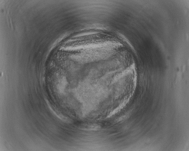 X0000084050443200703161901