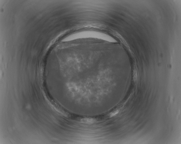 X0000084050444200703161901