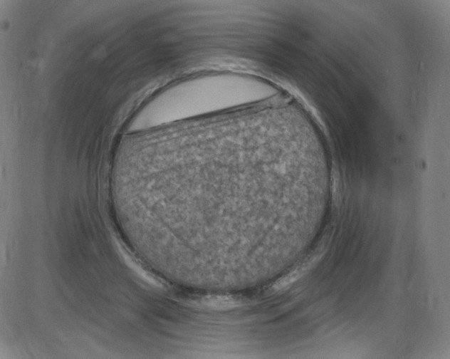 X0000084050445200703161901