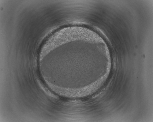 X0000084050447200703161901