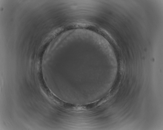 X0000084050451200703161901