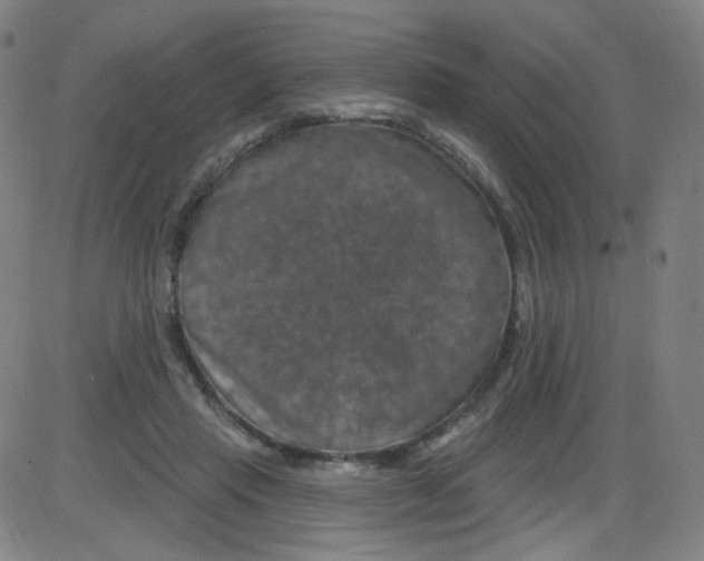 X0000084050453200703161901