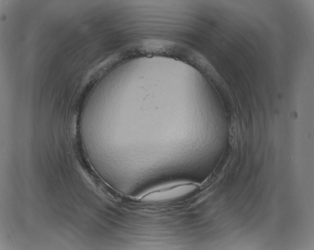 X0000084050454200703161901