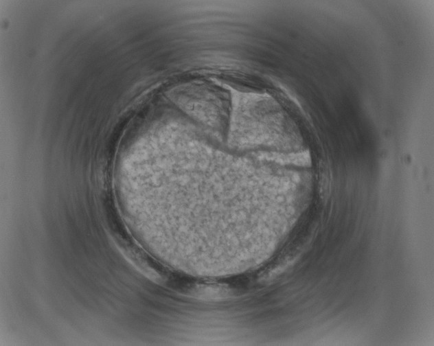 X0000084050455200703161901