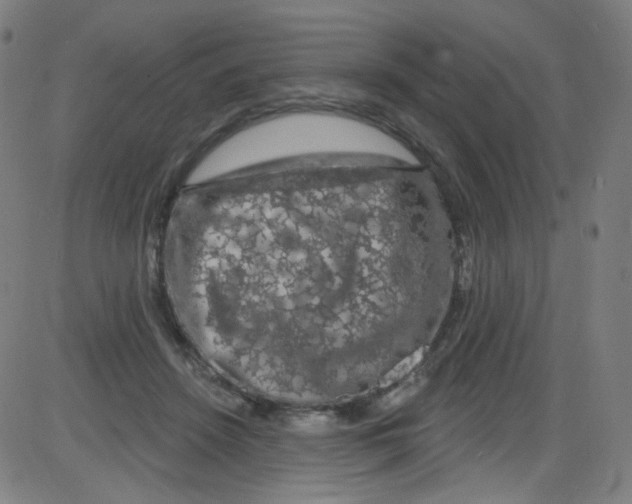 X0000084050456200703161901