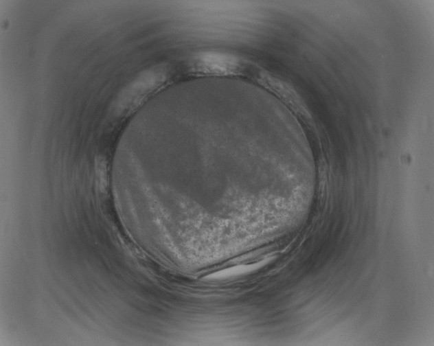 X0000084050457200703161901