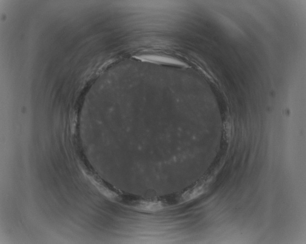 X0000084050458200703161901