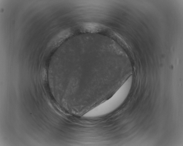 X0000084050459200703161901