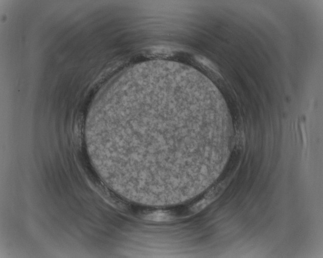 X0000084050460200703161901